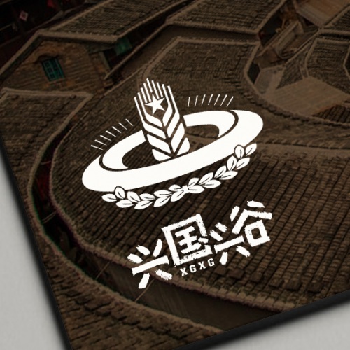 VI设计-本次为兴国兴谷农业发展有限公司LOGO标志设计_农业科技公司品牌视觉形象标志设计